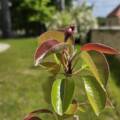 Tradycja i natura w nowoczesnym wydaniu – nowości z Centrum Przyrodniczo-Edukacyjnego KPN w Pałacu Sobieszów